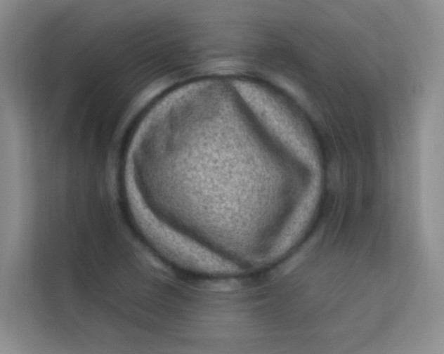 X0000113641410200910091527