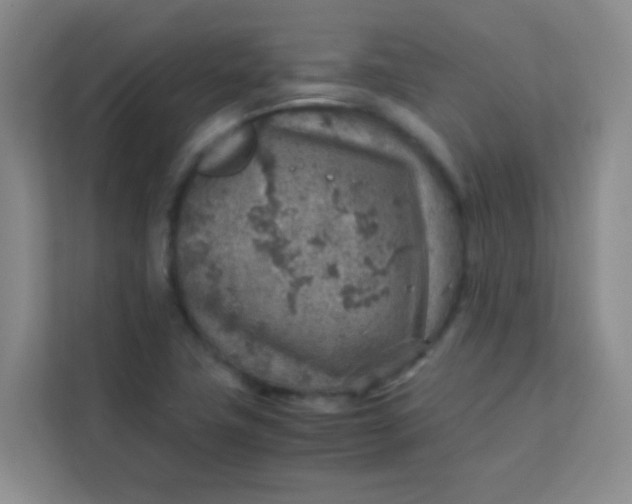 X0000113641411200910091527