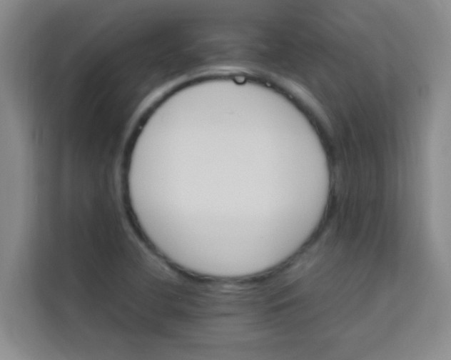 X0000113641412200910091527