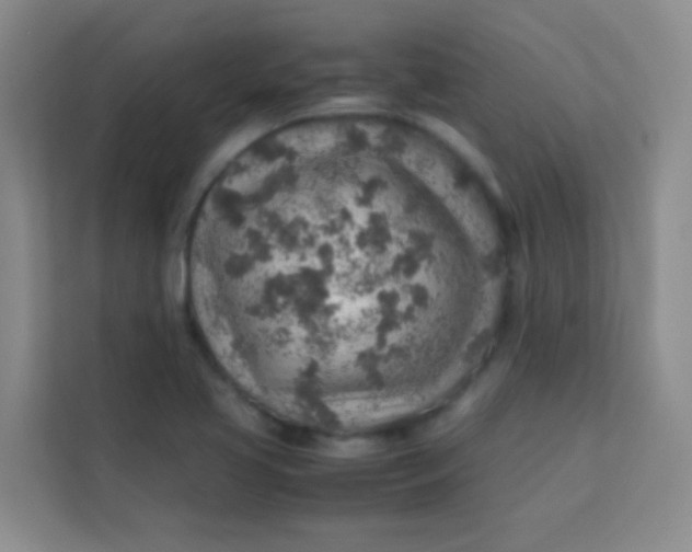 X0000113641413200910091527