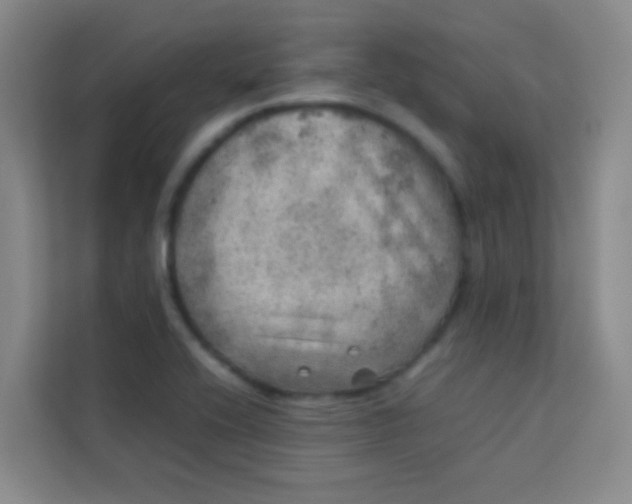 X0000113641416200910091527