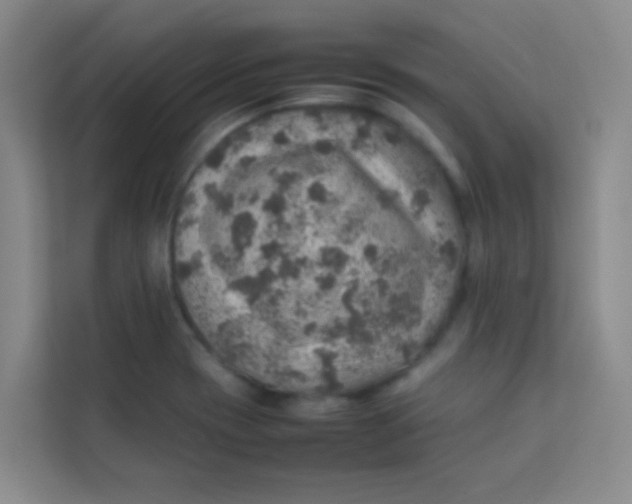 X0000113641417200910091527