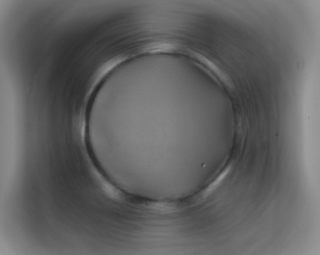 X0000113641418200910091527