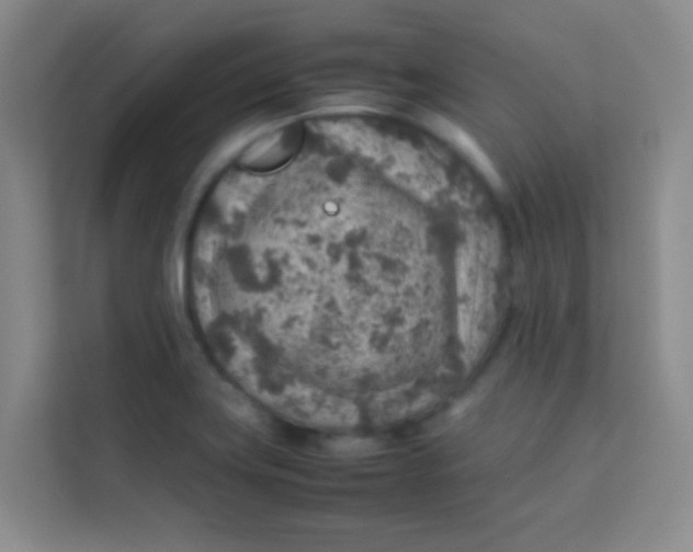 X0000113641419200910091528