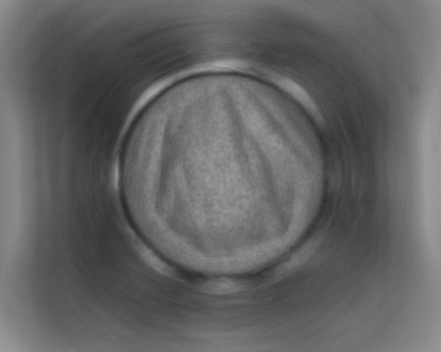 X0000113641420200910091528