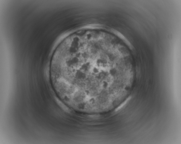 X0000113641421200910091528