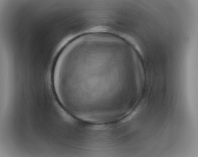 X0000113641422200910091528