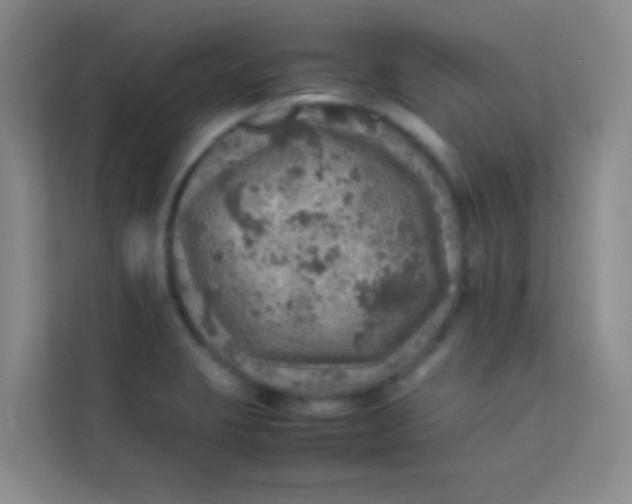 X0000113641423200910091528