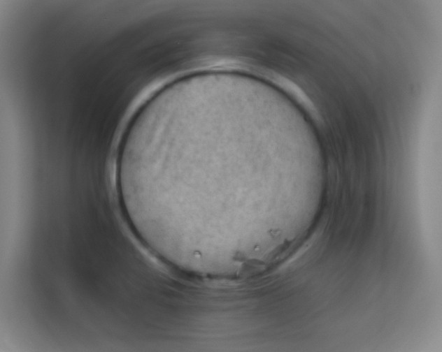 X0000113641424200910091528