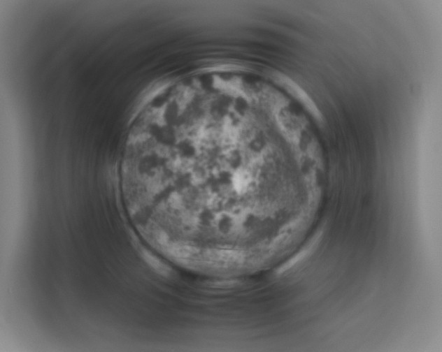 X0000113641425200910091528