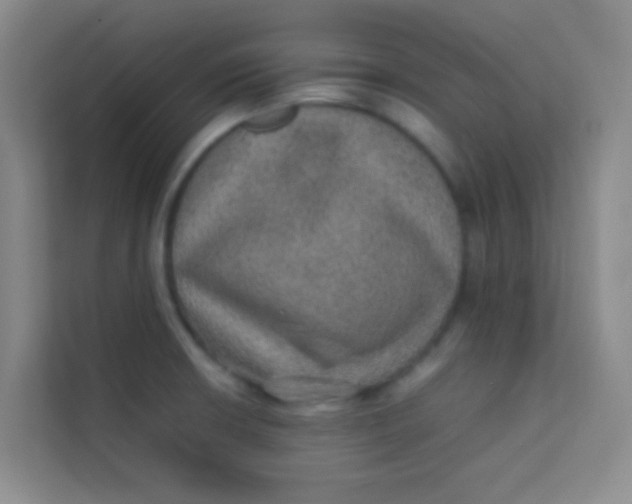 X0000113641426200910091528