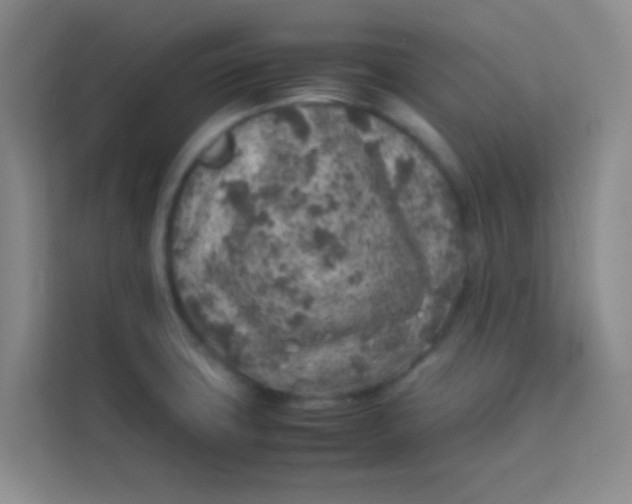 X0000113641427200910091528