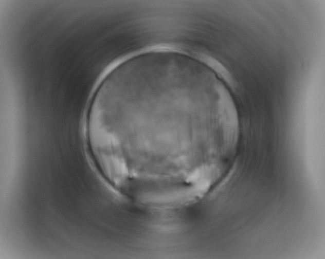 X0000113641428200910091528