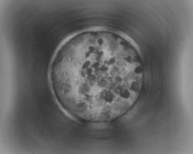 X0000113641429200910091528