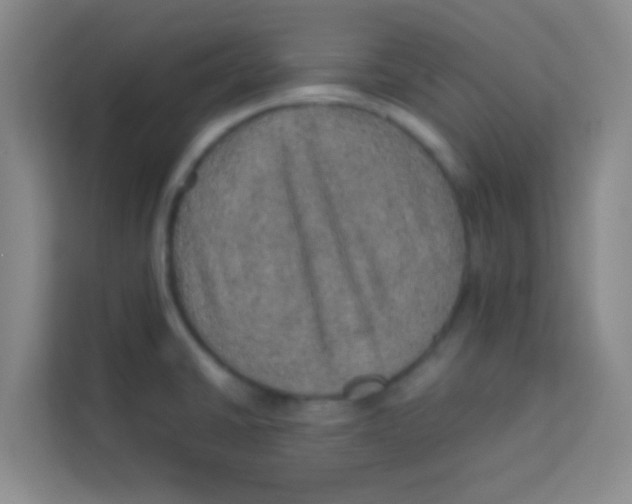 X0000113641430200910091528