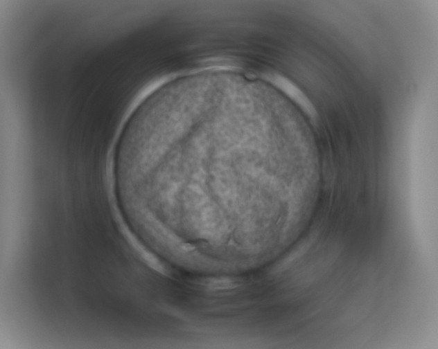 X0000113641431200910091528