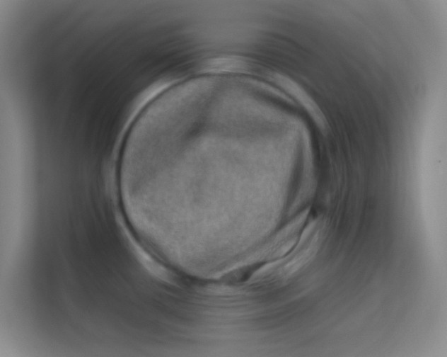 X0000113641434200910091528