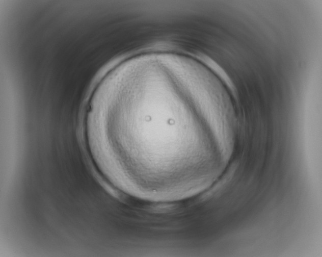 X0000113641437200910091528