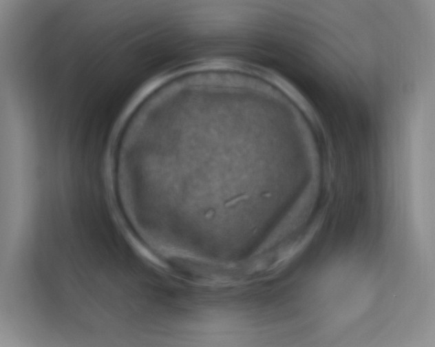 X0000113641438200910091528