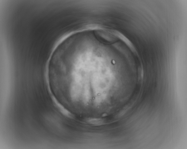 X0000113641439200910091528