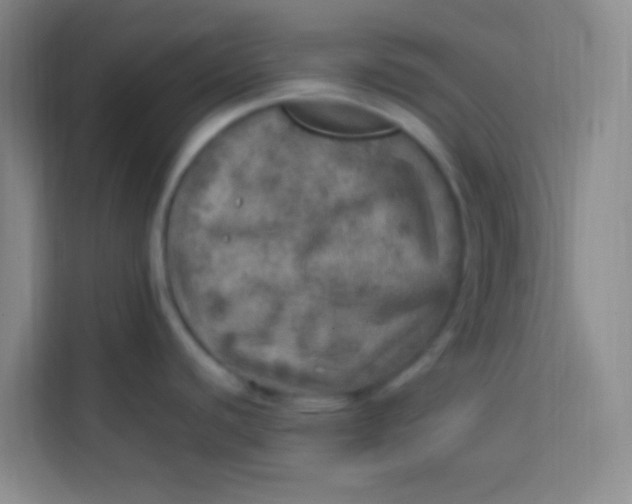 X0000113641440200910091528