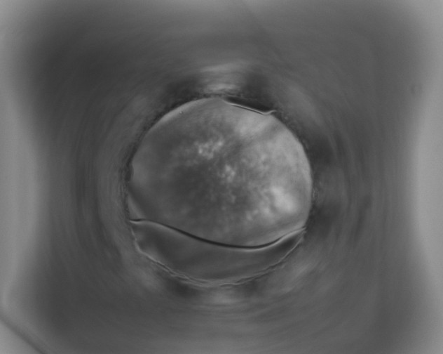 X0000113641441200910091527