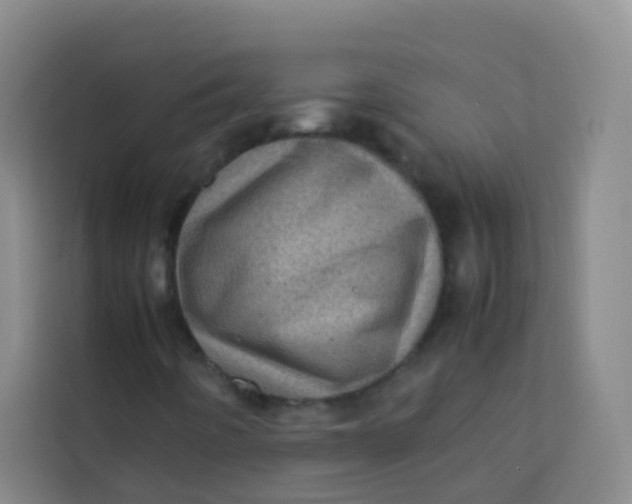 X0000113641442200910091527