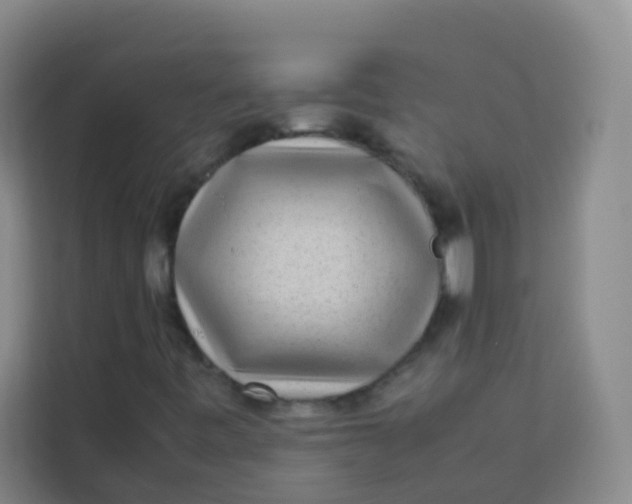 X0000113641443200910091527