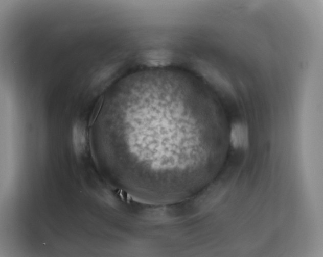 X0000113641444200910091527