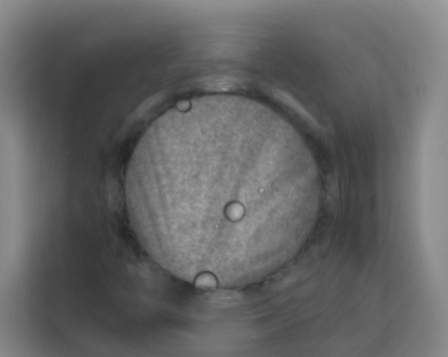 X0000113641446200910091527