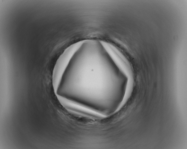 X0000113641447200910091527