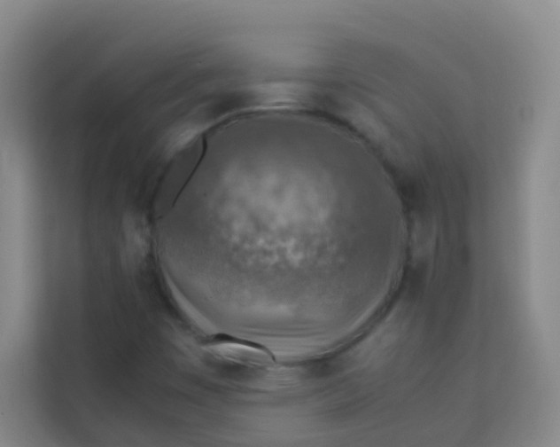 X0000113641449200910091527