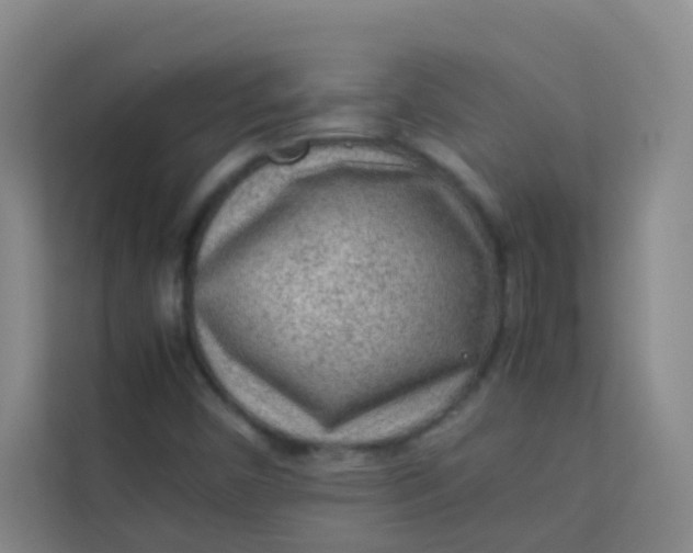 X0000113641450200910091527