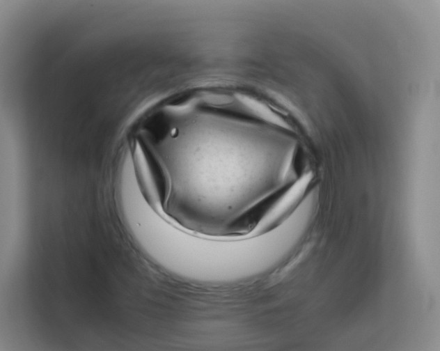 X0000113641453200910091527