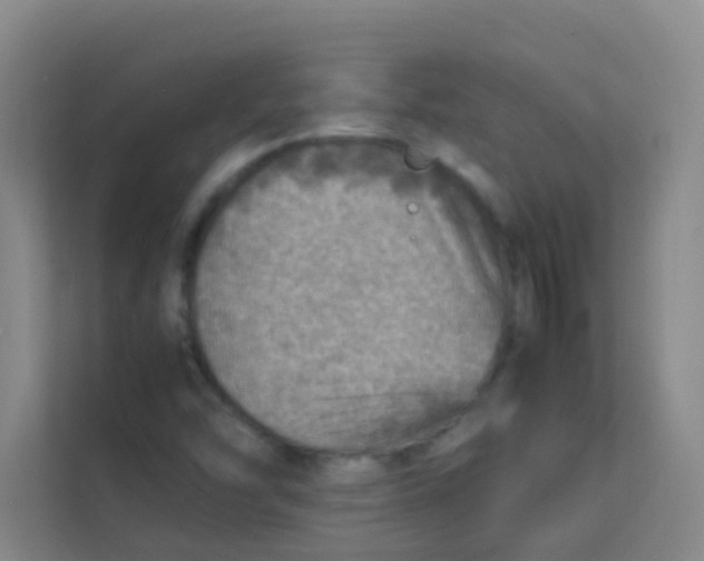 X0000113641454200910091527