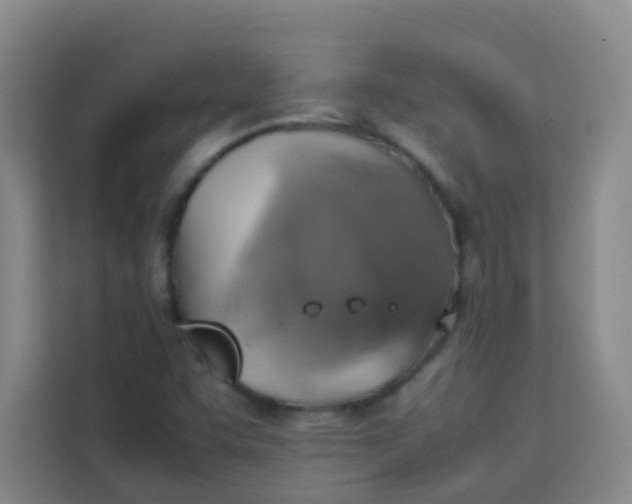 X0000113641455200910091527