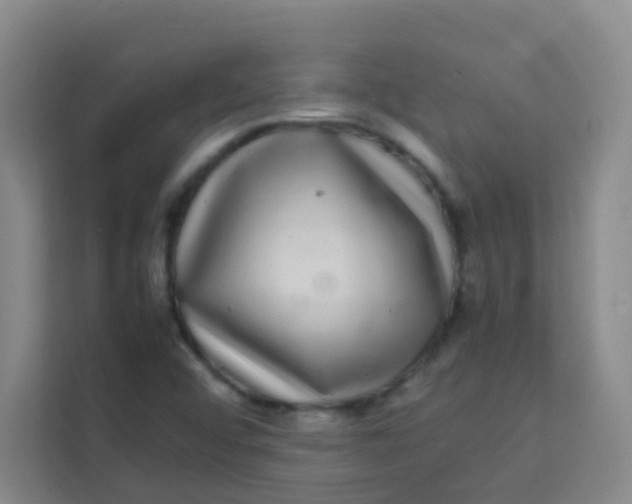 X0000113641456200910091527