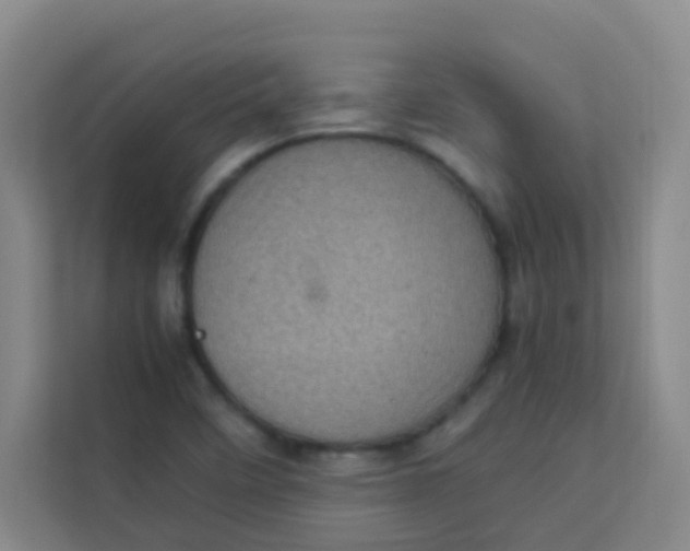 X0000113641458200910091527