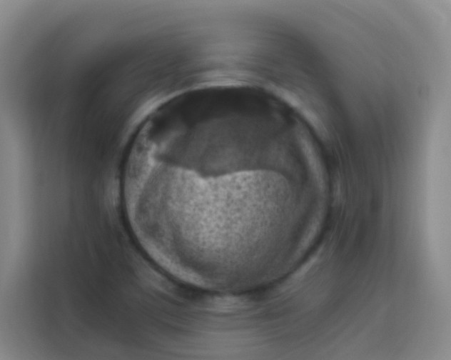 X0000113641459200910091527