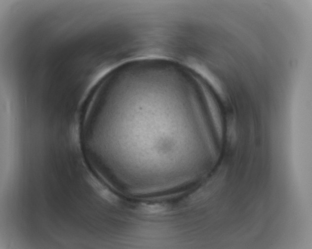 X0000113641460200910091527