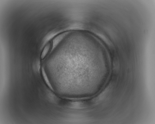 X0000113641461200910091527