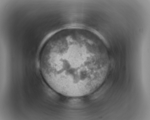 X0000113641462200910091527