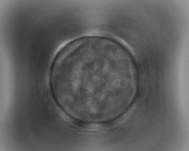 X0000113641463200910091527