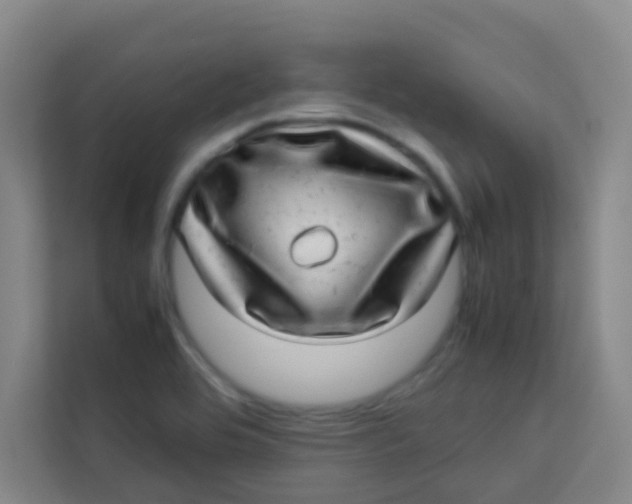 X0000113641464200910091527