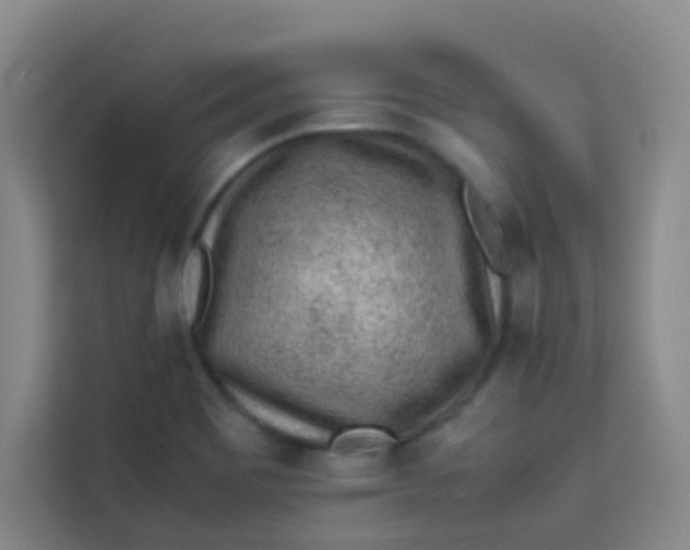 X0000113641465200910091527