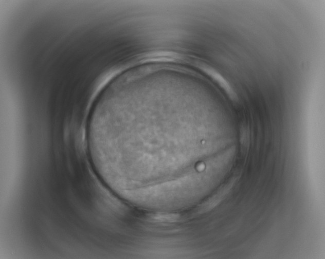 X0000113641466200910091527