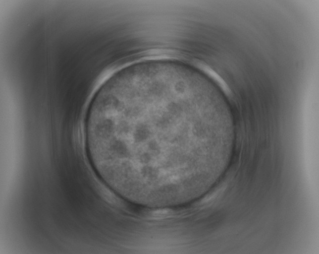 X0000113641467200910091527