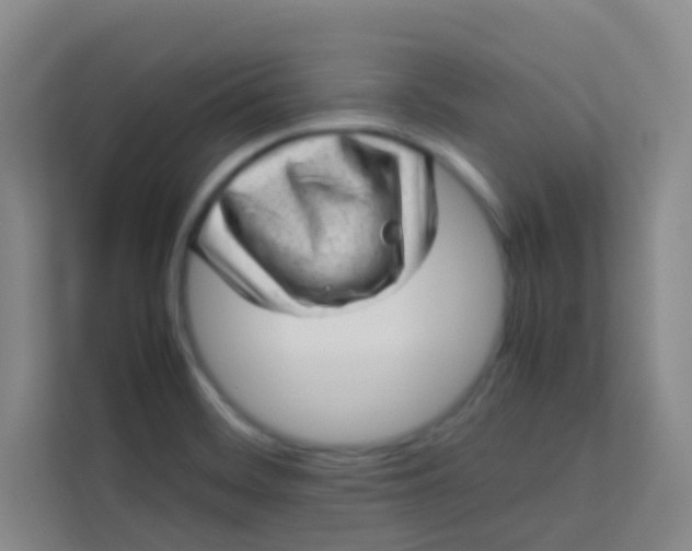 X0000113641468200910091527