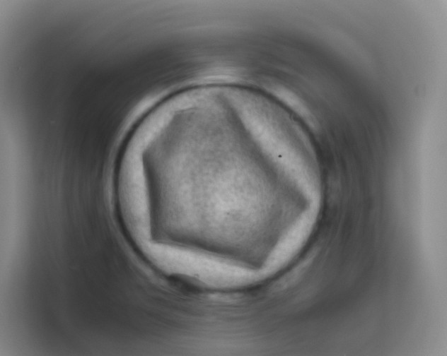 X0000113641469200910091527