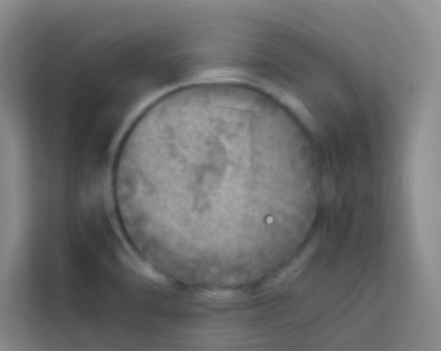 X0000113641470200910091527